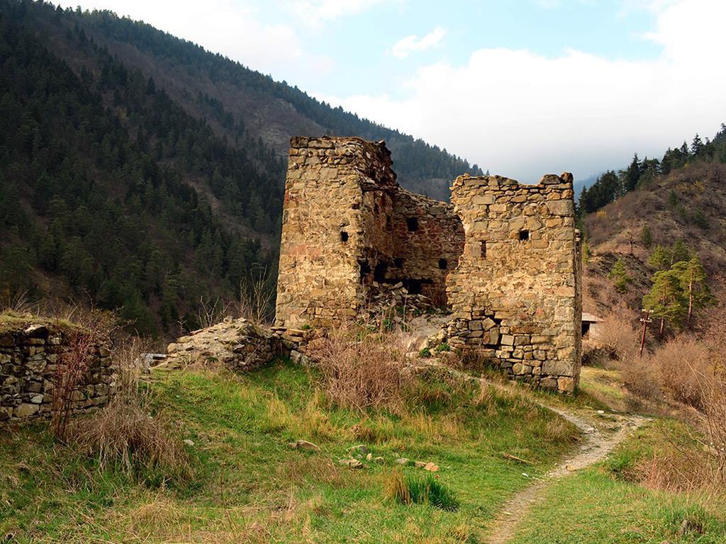 Отель Гостевой дом Irakli Боржоми Экстерьер фото